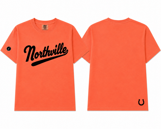 Northville boxy crop t-shirt