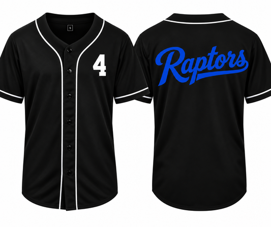 Raptors jersey